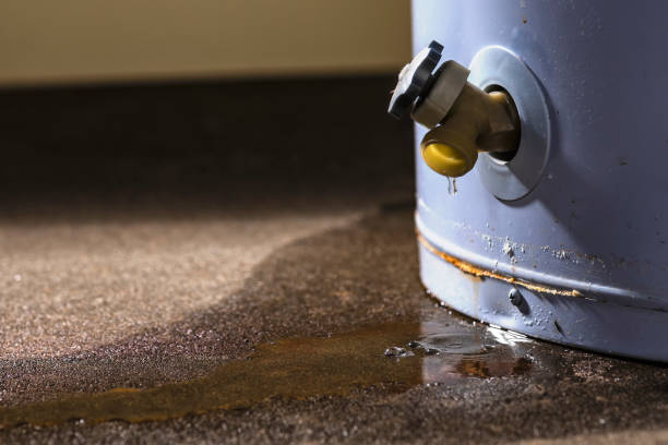 Best Water damage cleanup near me  in Seven Oaks, SC