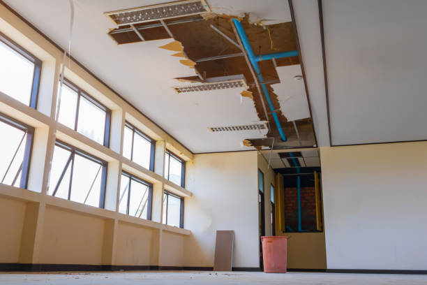 Best Mold removal after water damage  in Seven Oaks, SC