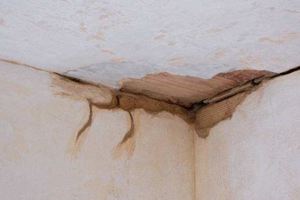 Best Flood restoration services  in Seven Oaks, SC