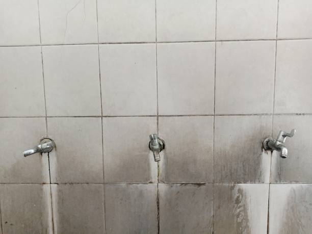 Best Flood damage cleanup  in Seven Oaks, SC