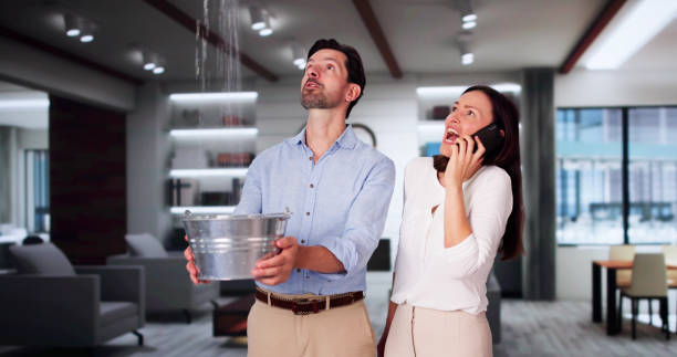 Best Water damage cleanup near me  in Seven Oaks, SC